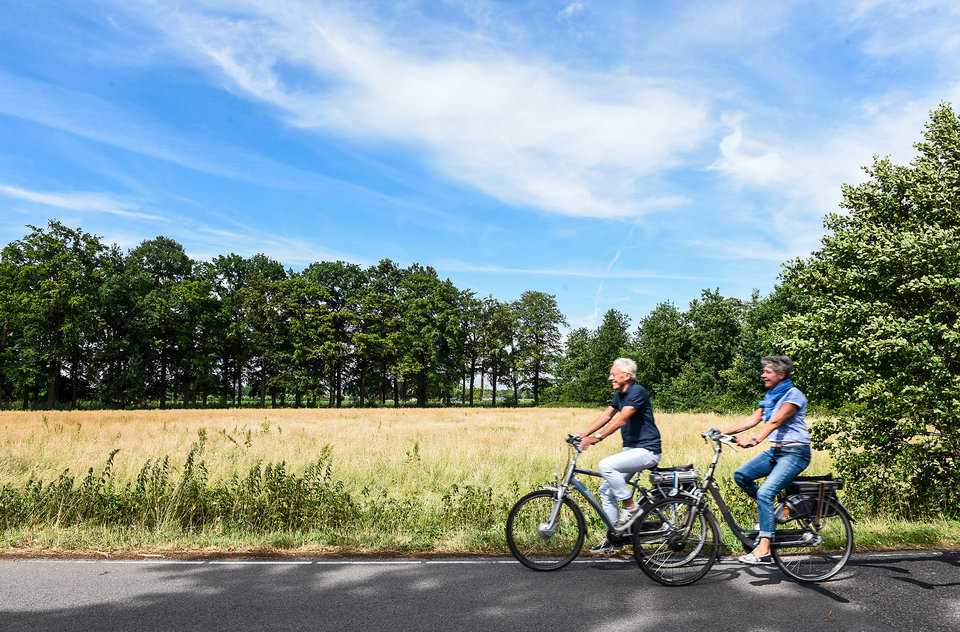 fietsen stel man vrouw zon zomer veld gras bos