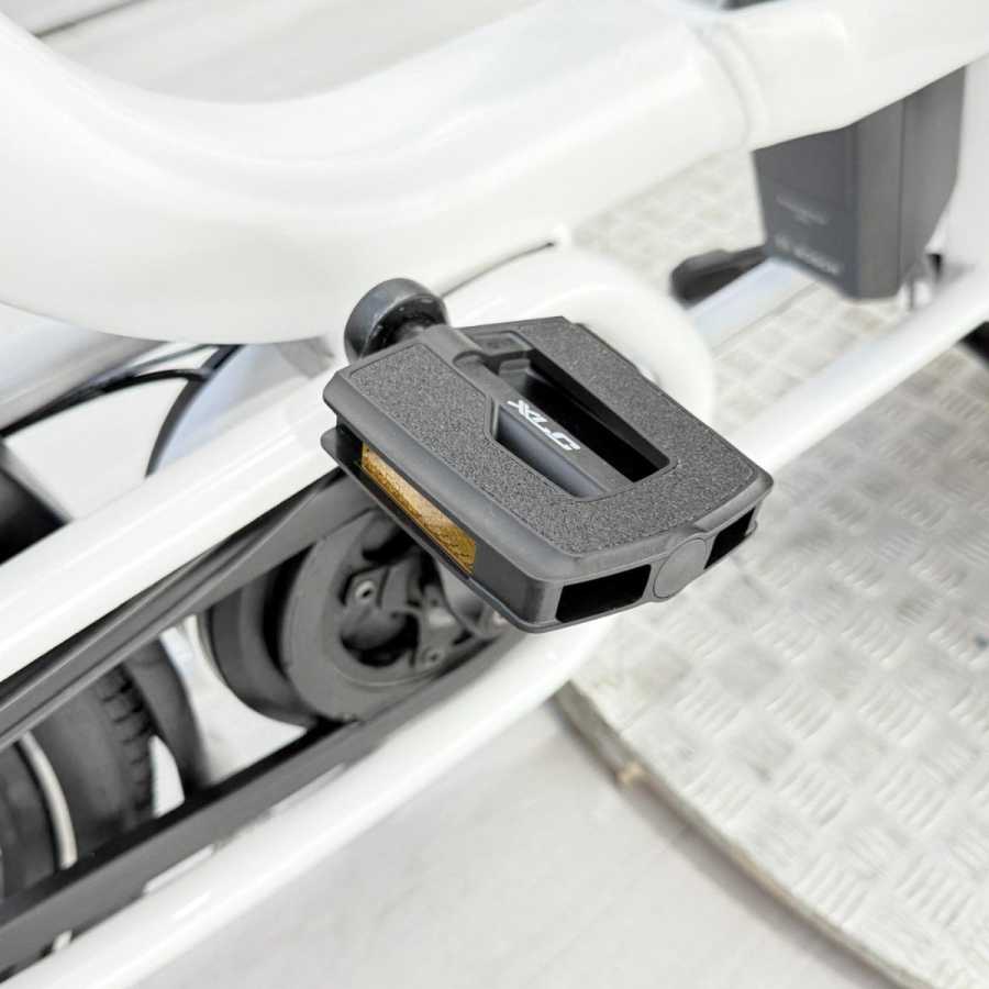 artpic public l 4230070