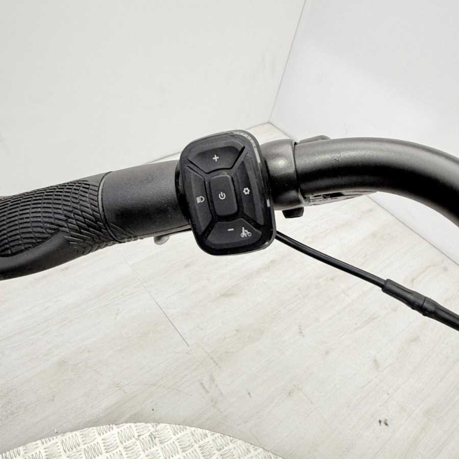 artpic public l 4381870