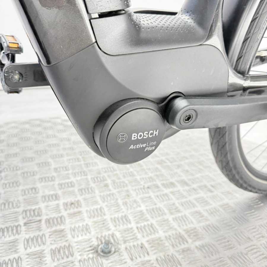 artpic public l 4386196