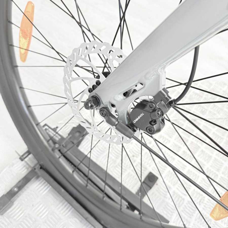 artpic public l 4431182