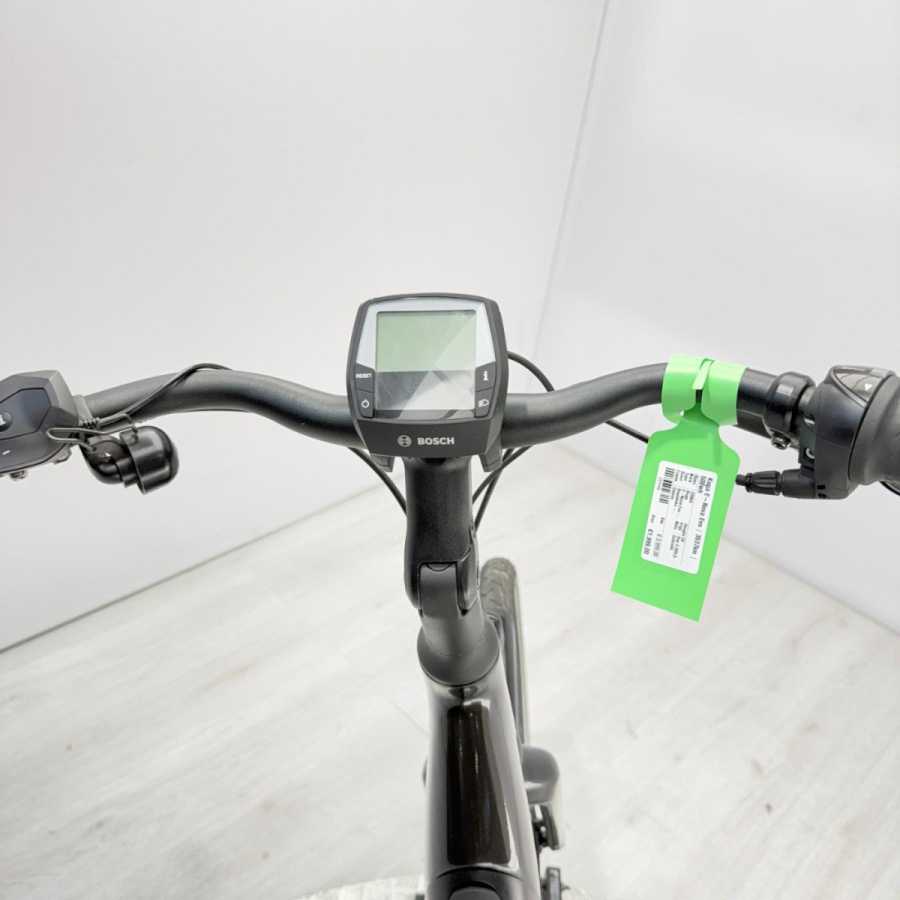 artpic public l 4371548