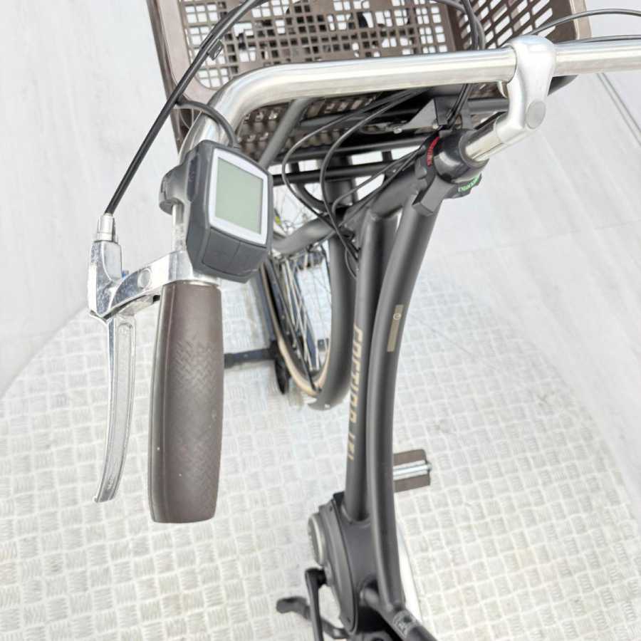 artpic public l 4471136