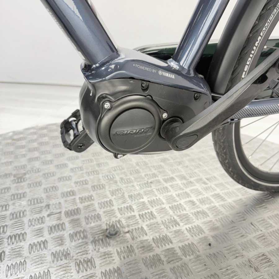 artpic public l 4445498