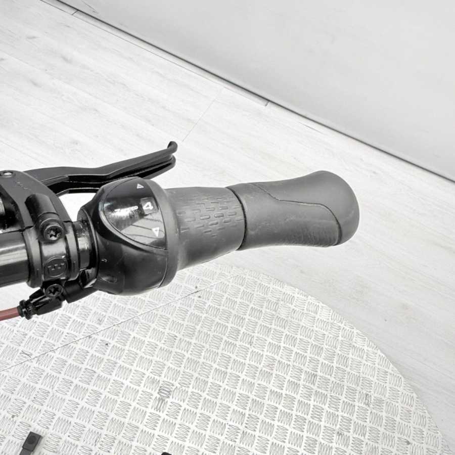 artpic public l 4366286