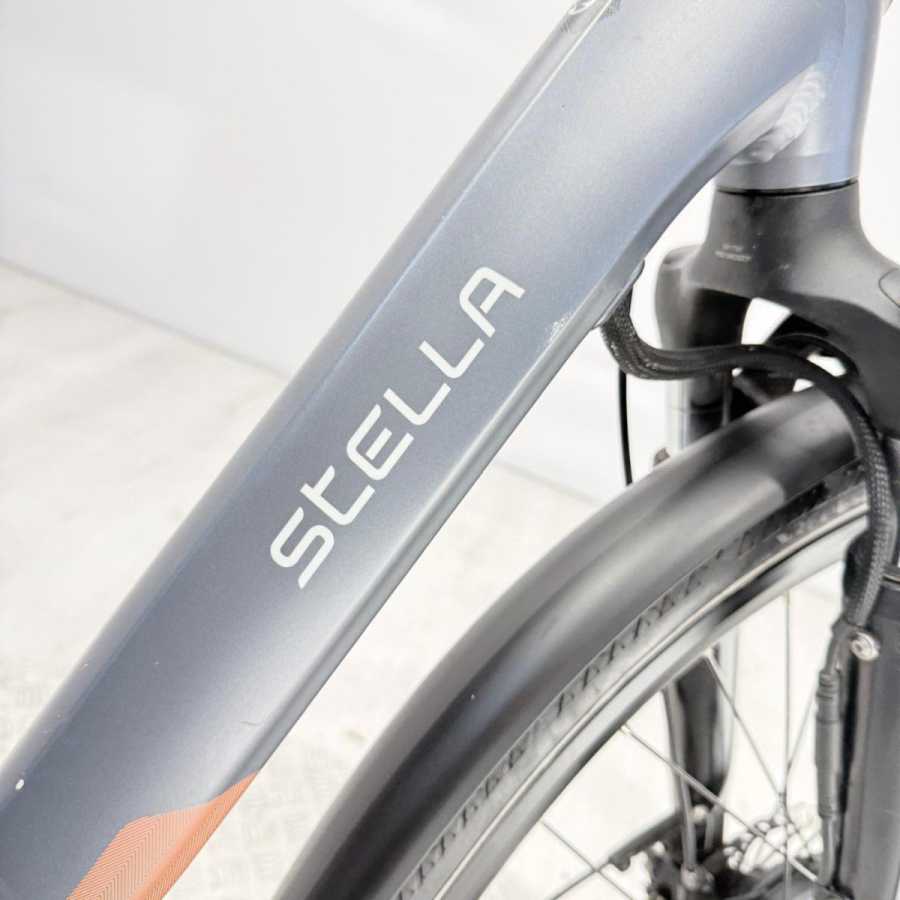 artpic public l 4500782