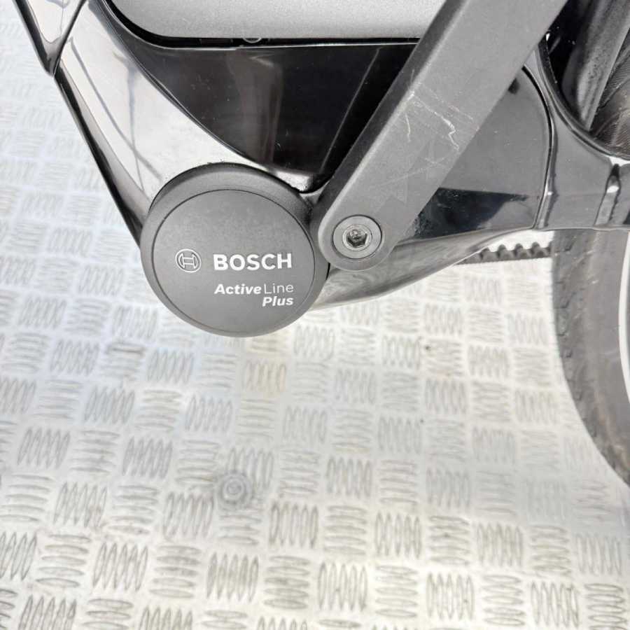 artpic public l 4500672