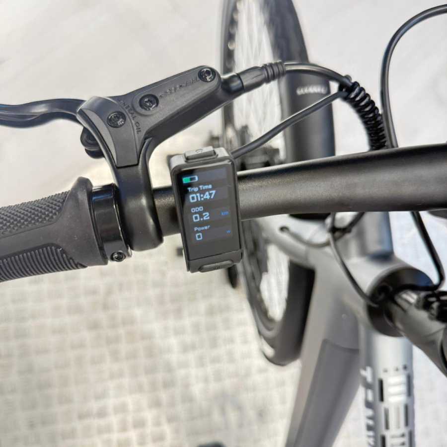 artpic public l 4514066