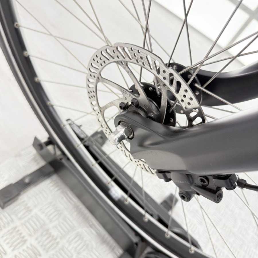 artpic public l 4413550