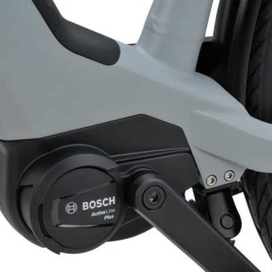 artpic public l 4080506