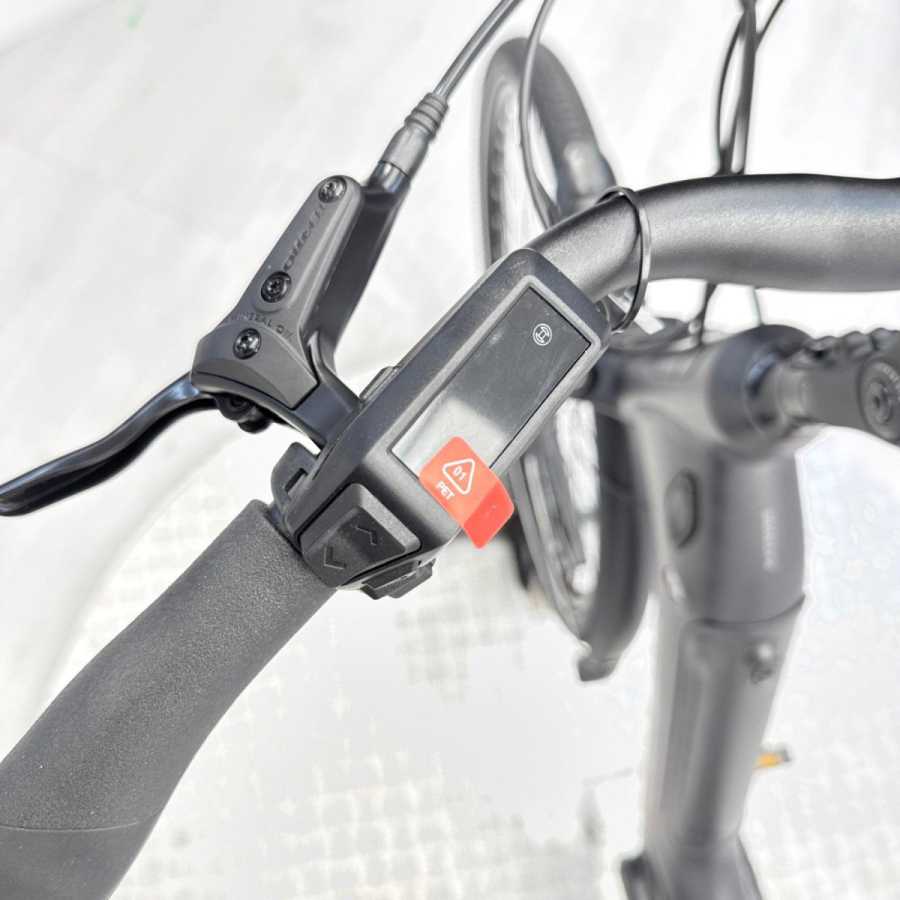 artpic public l 4582164