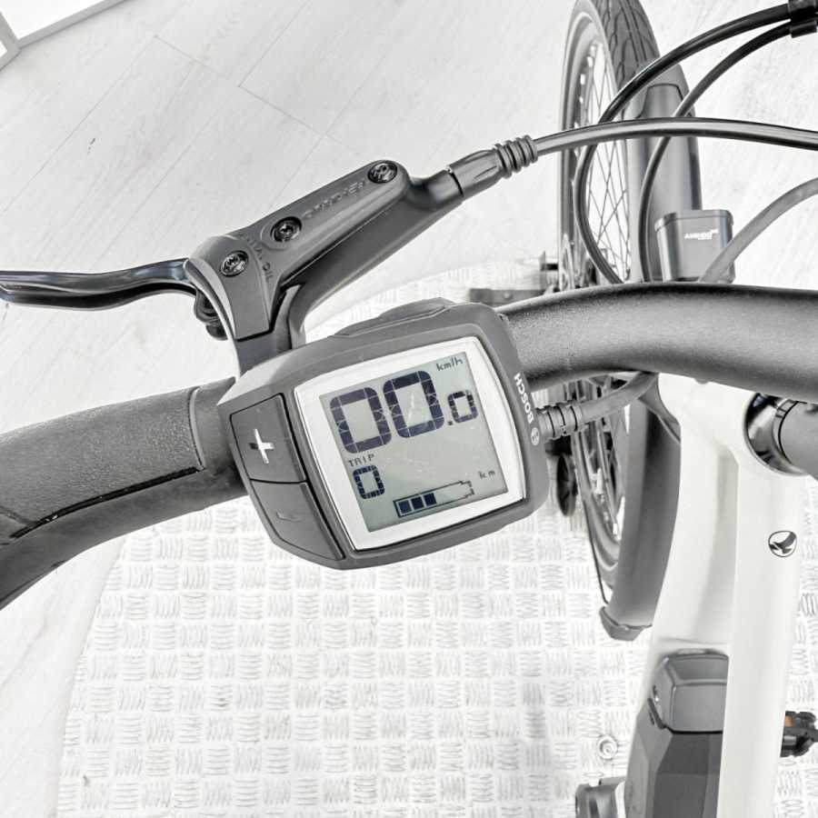 artpic public l 4597294