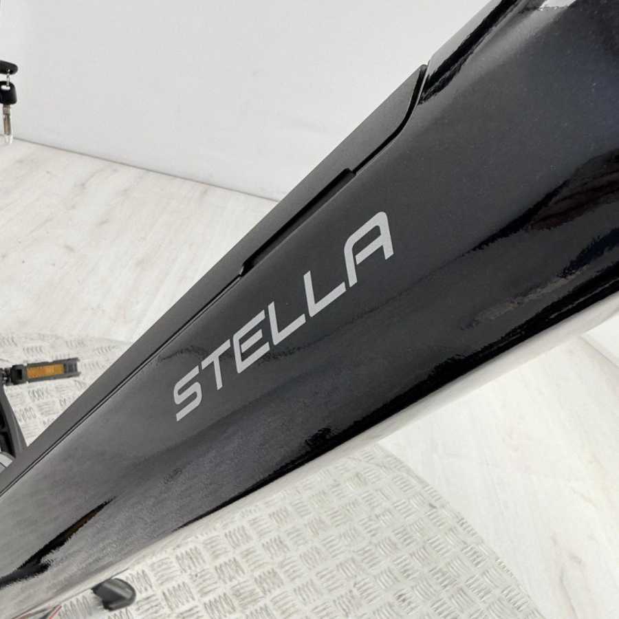 artpic public l 4610596