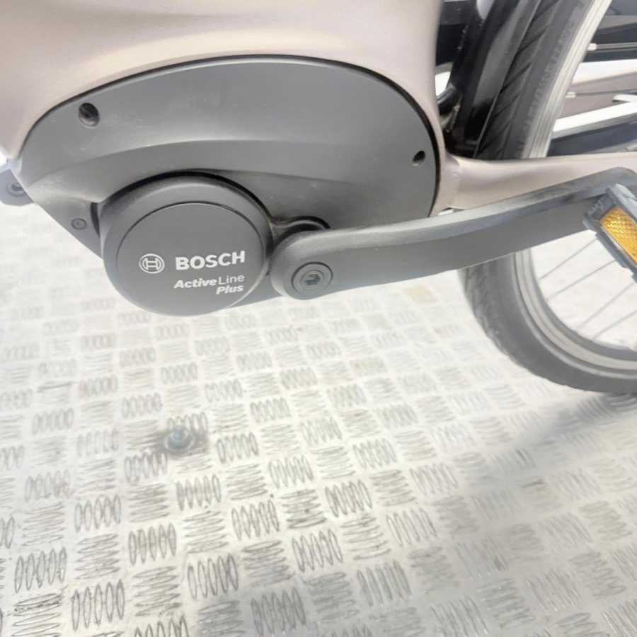 artpic public l 4622030