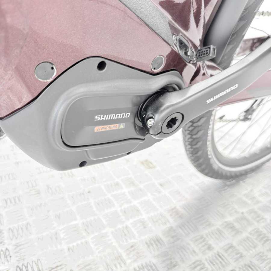 artpic public l 4631896