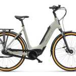 artpic public l 3794928