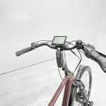 artpic public l 4216908