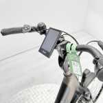 artpic public l 4250192