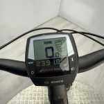 artpic public l 4286098