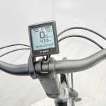 artpic public l 4354488