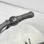 artpic public l 4356968