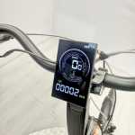 artpic public l 4367496