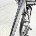 artpic public l 4371414