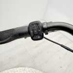 artpic public l 4381870