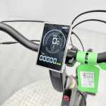 artpic public l 4381872