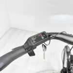 artpic public l 4431284