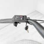 artpic public l 4431242