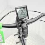 artpic public l 4354430