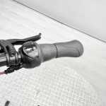 artpic public l 4366286