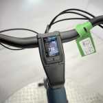 artpic public l 4128624