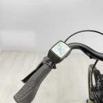 artpic public l 4104736