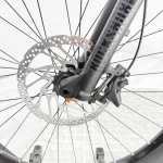 artpic public l 4195192