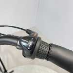 artpic public l 3179754