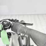 artpic public l 4438076