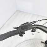 artpic public l 4439380