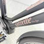 artpic public l 4366190