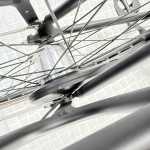 artpic public l 4388246