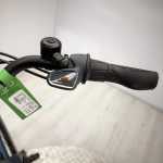 artpic public l 4128622