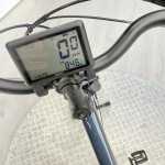 artpic public l 4445494