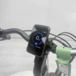 artpic public l 4413726