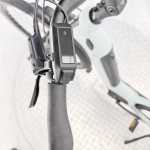 artpic public l 4475214