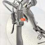 artpic public l 4482828