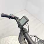 artpic public l 4495020