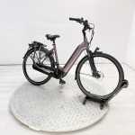 artpic public l 4513136