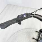 artpic public l 4439696