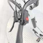 artpic public l 4449036